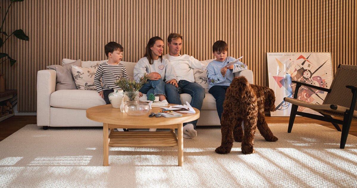 Miten valita paras matto lemmikkitalouteen?