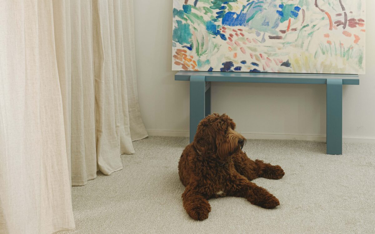 Mitkä mattomateriaalit kestävät parhaiten koiran kynsiä?